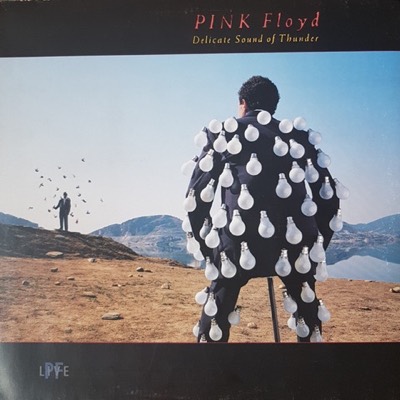 Delicate Sound Of Thunder — Pink Floyd album cover
